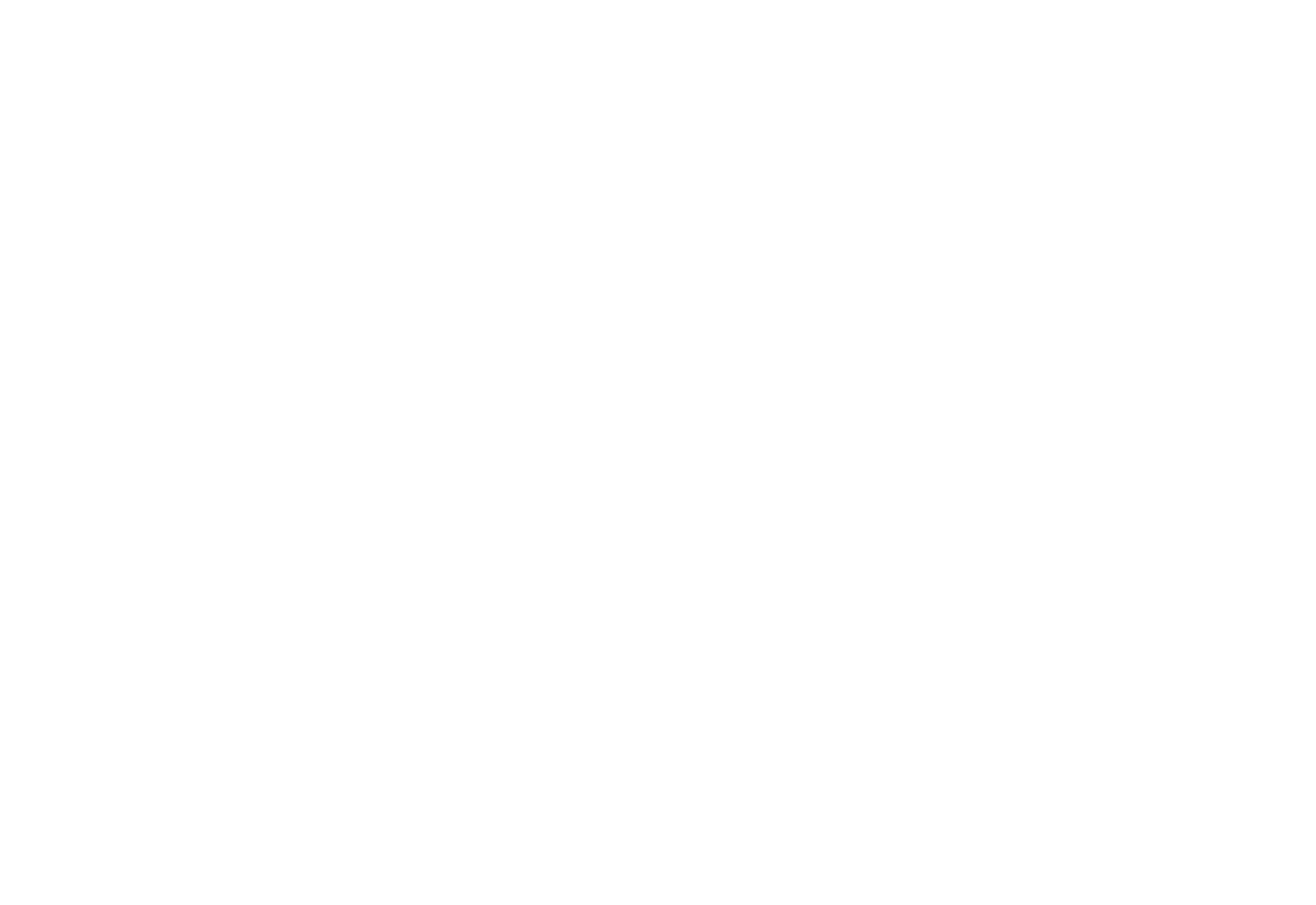 Rechtsanwältin Marjola Wende